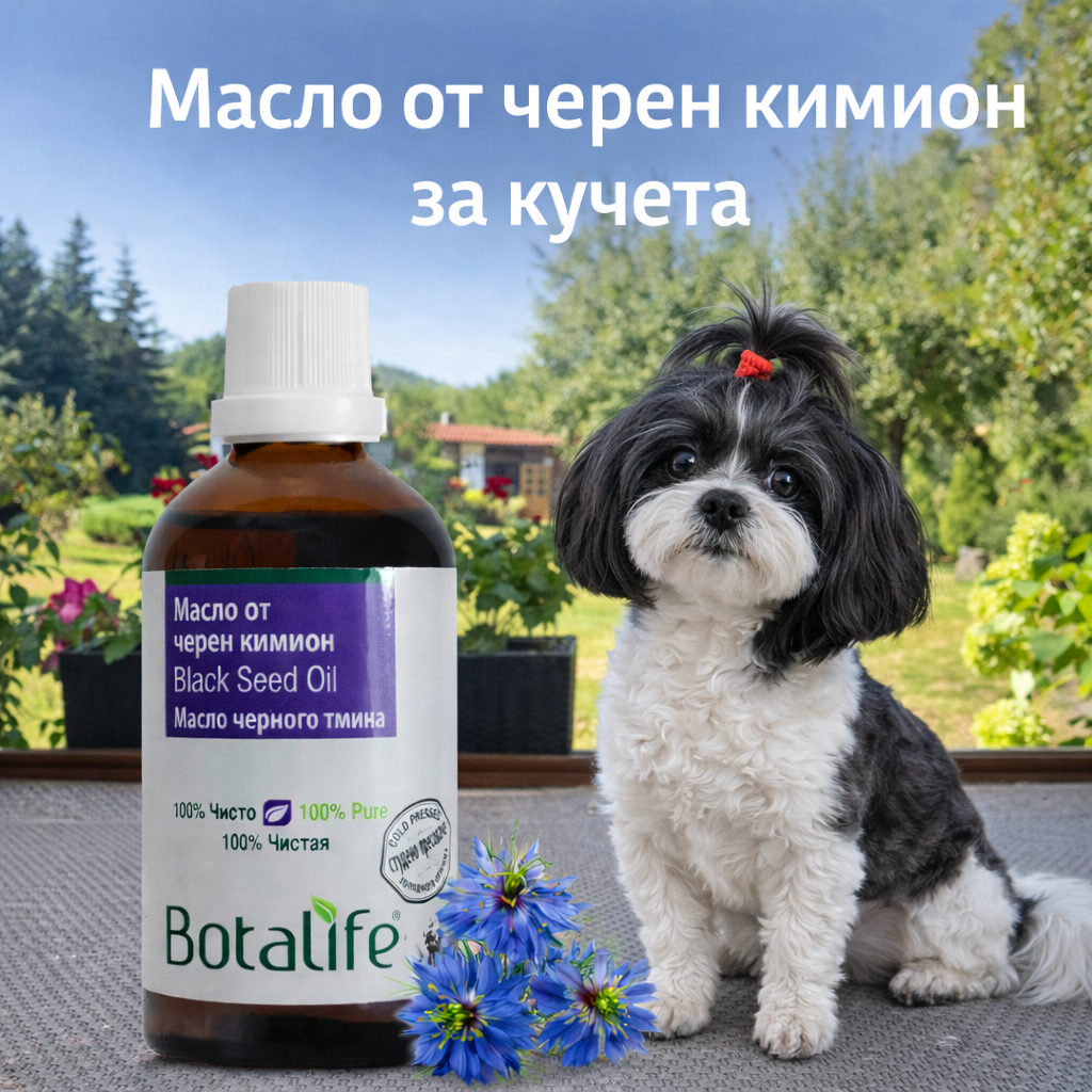 9 ползи на маслото от черен кимион при кучета - бутилка масло от черен кимион Botalife до малко куче в градина