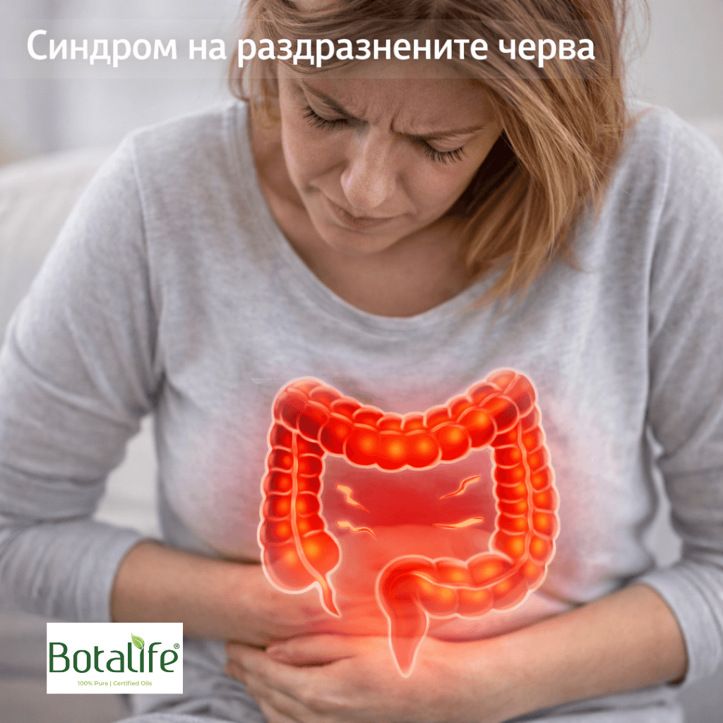ТОП 5 етерични масла при синдром на раздразнените черва — жени с болки в корема, илюстрация на възпалените черва, етерични масла и ароматерапия