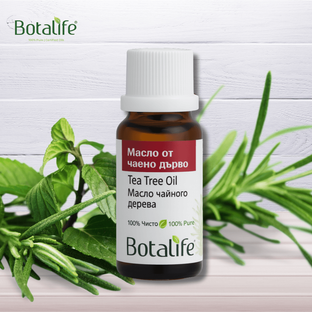 ТОП 10 ползи на маслото от чаено дърво – бутилка масло от чаено дърво Botalife сред розмарин и билки, натурална козметика и етерични масла