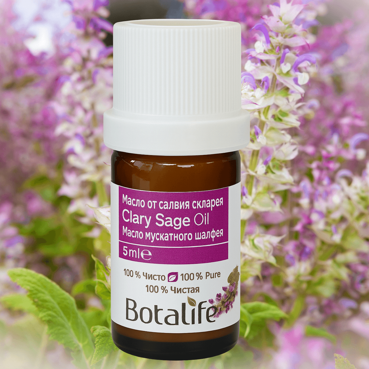Масло от салвия скларея Clary Sage Oil в опаковка на Botalife с цветни фонове.
