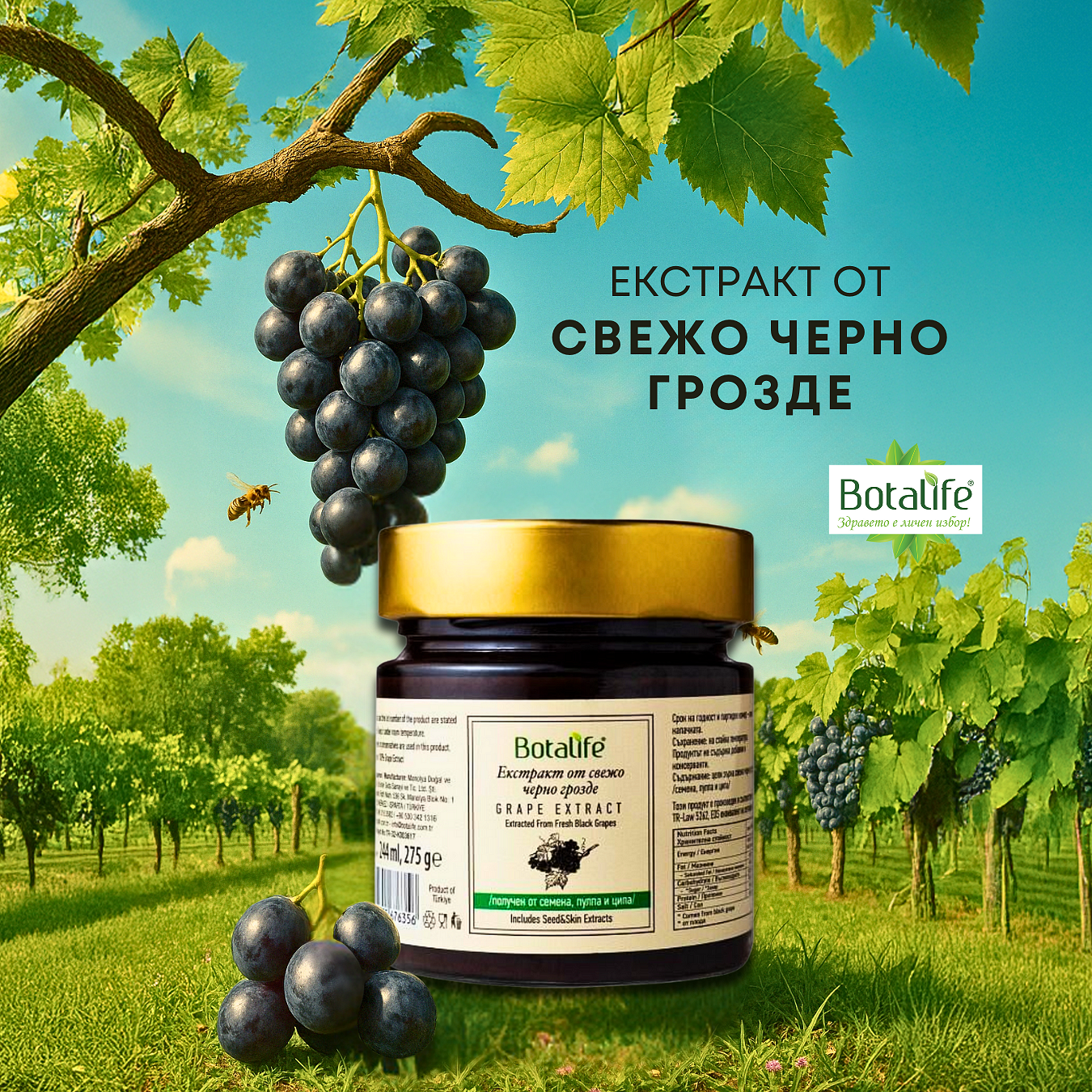 Екстракт от свежо черно грозде /семена, пулпа, ципа/, 300 г / 450 г - натурален екстракт с високо съдържание на полифеноли, масло от гроздови семки, натурална козметика
