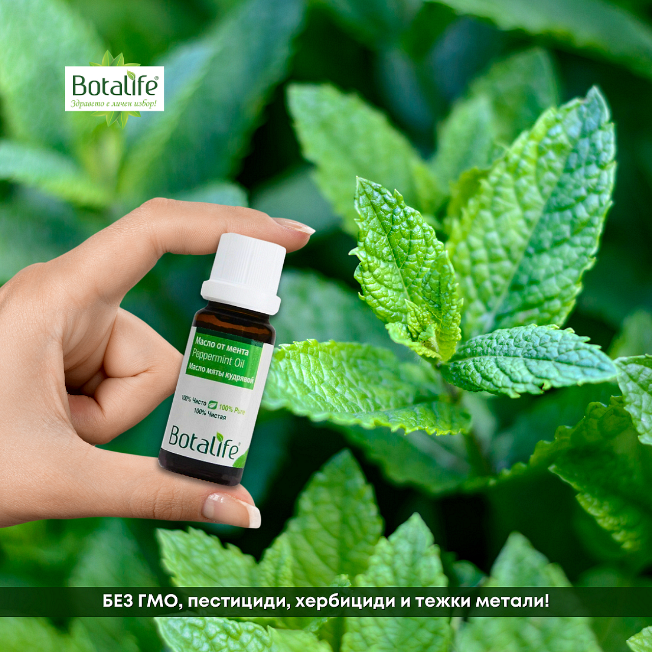 Етерично масло от мента, 10 мл - бутилче на Botalife пред свежи ментови листа, дифузер и етерични масла в натурална козметика