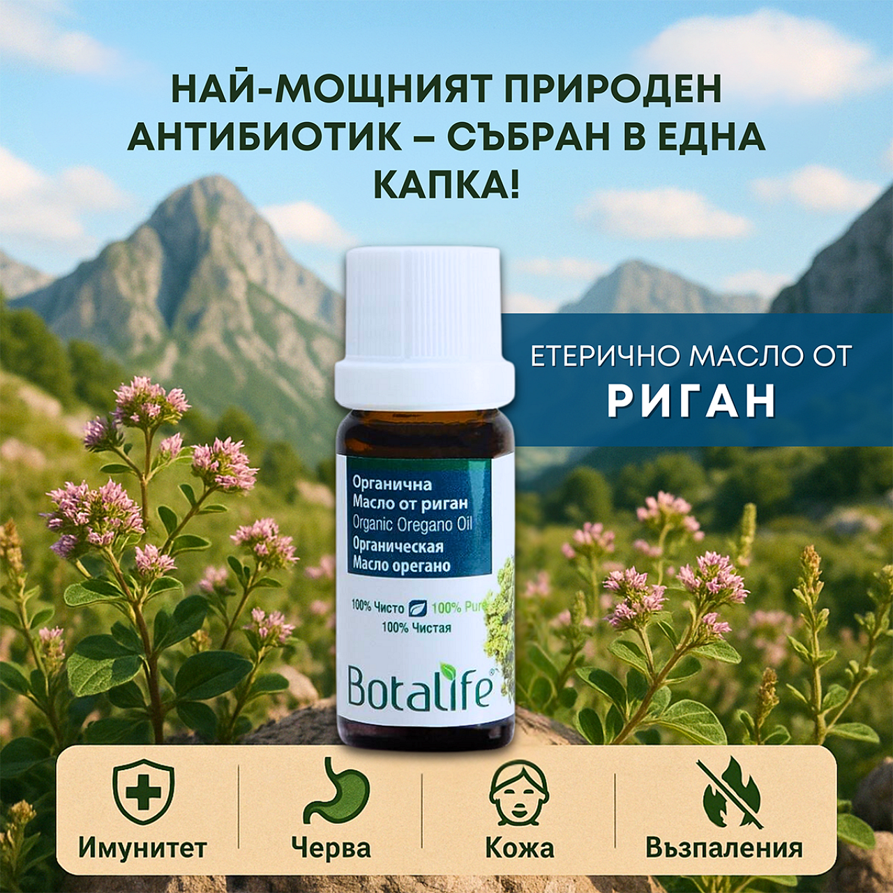 Етерично масло от див риган, 10 мл - Botalife органично масло от риган, най-мощният природен антибиотик, арома дифузер, етерични масла