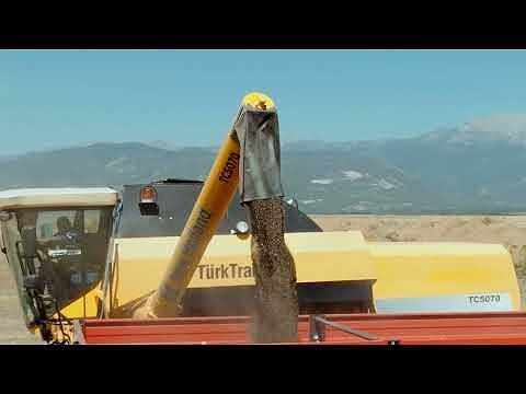 Масло от черен кимион Botalife – с 50 % съдържание на тимохинон, бутилка на фона на натурални етерични масла и билки