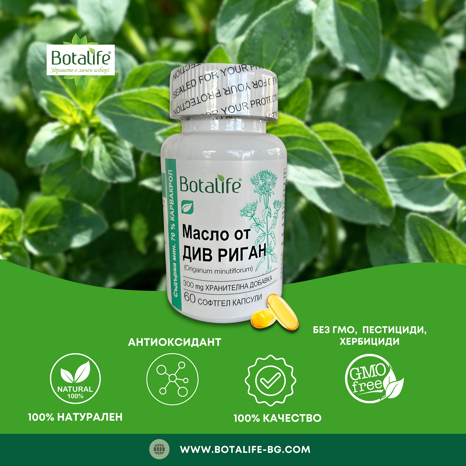 Софтгел капсули Масло от див риган, 300 мг – Botalife софтгел капсули масло от риган, натурална хранителна добавка, 60 капсули