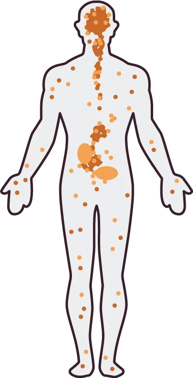endocannabinoid system human body