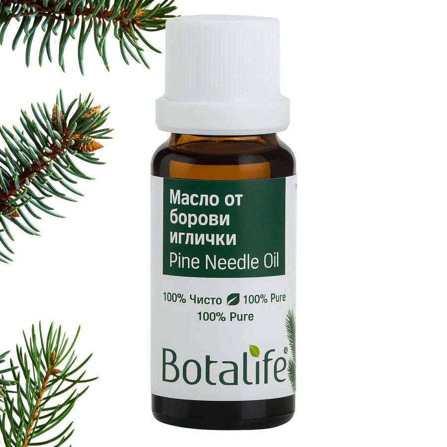 Pine needle essential oil, 20 ml